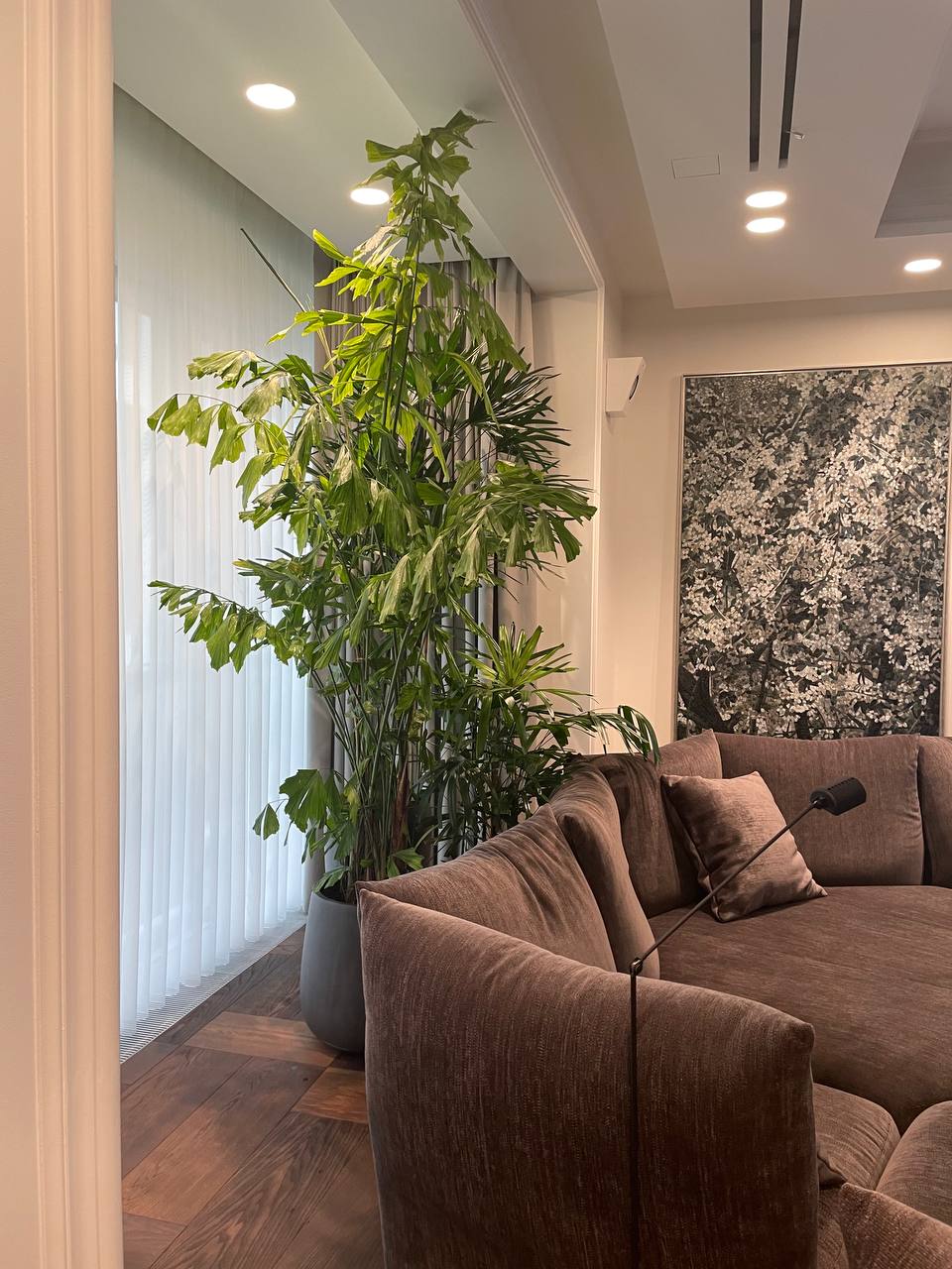 Проект озеленения интерьера — пример 4